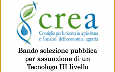 CREA – bando selezione pubblica