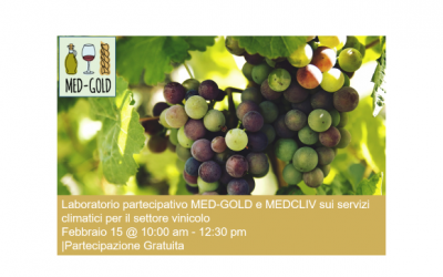 Laboratorio partecipativo: servizi climatici per il settore vinicolo